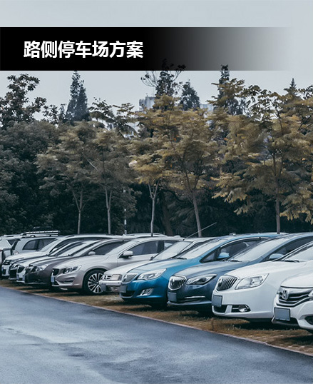 路側(cè)停車場(chǎng)解決方案